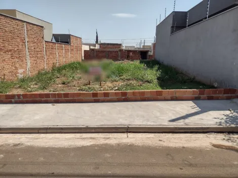imagem 2 - Excelente Terreno no Bairro Setsul 1 imagem 2 - Excelente Terreno no Bairro Setsul 1