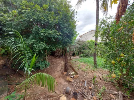 Comprar Terreno / Padrão em São José do Rio Preto R$ 580.000,00 - Foto 2