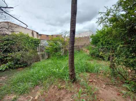 imagem 1 - Jardim Santa Lúcia - Terreno Venda imagem 1 - Jardim Santa Lúcia - Terreno Venda
