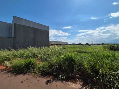 Terreno / Padrão em São José do Rio Preto 