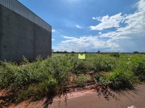 Comprar Terreno / Padrão em São José do Rio Preto apenas R$ 790.000,00 - Foto 2