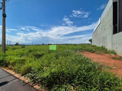 Terreno / Padrão em São José do Rio Preto 