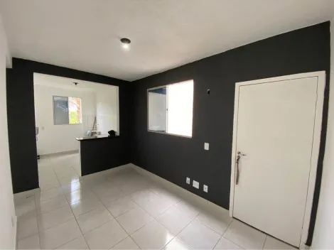 Alugar Apartamento / Padrão em São José do Rio Preto apenas R$ 800,00 - Foto 1
