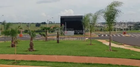 Terreno / Padrão em São José do Rio Preto 