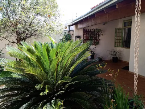 imagem 2 - Casa / Padrão para venda com 03  Dormitórios no Parque Residencial Romano Calil imagem 2 - Casa / Padrão para venda com 03  Dormitórios no Parque Residencial Romano Calil