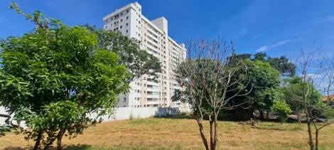 imagem 2 - Apartamento de 2 dormitórios no bairro São Deocleciano imagem 2 - Apartamento de 2 dormitórios no bairro São Deocleciano
