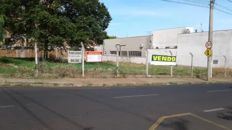imagem 4 - Higienopolis - Área em rua RESIDENCIAL e comercial 990 m² ótimo para comércios em geral, opção de adquirir mais 330m² imagem 4 - Higienopolis - Área em rua RESIDENCIAL e comercial 990 m² ótimo para comércios em geral, opção de adquirir mais 330m²