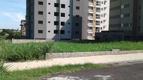 imagem 5 - Higienopolis - Área em rua RESIDENCIAL e comercial 990 m² ótimo para comércios em geral imagem 5 - Higienopolis - Área em rua RESIDENCIAL e comercial 990 m² ótimo para comércios em geral