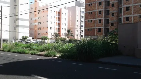 imagem 3 - Higienopolis - Área em rua RESIDENCIAL e comercial 762 m² ótimo para comércios em geral imagem 3 - Higienopolis - Área em rua RESIDENCIAL e comercial 762 m² ótimo para comércios em geral