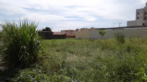 imagem 3 - Higienópolis - Área em rua residencial e comercial 660 m² ótimo para comércios em geral imagem 3 - Higienópolis - Área em rua residencial e comercial 660 m² ótimo para comércios em geral