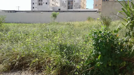 imagem 4 - Higienópolis - Área em rua residencial e comercial 660 m² ótimo para comércios em geral imagem 4 - Higienópolis - Área em rua residencial e comercial 660 m² ótimo para comércios em geral