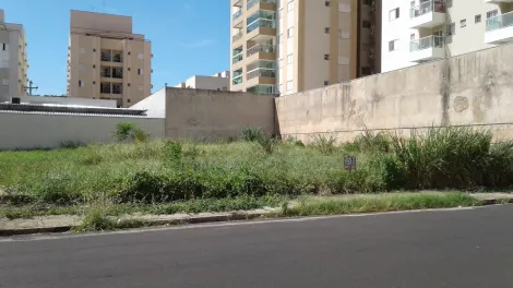 imagem 5 - Higienópolis - Área em rua residencial e comercial 660 m² ótimo para comércios em geral imagem 5 - Higienópolis - Área em rua residencial e comercial 660 m² ótimo para comércios em geral