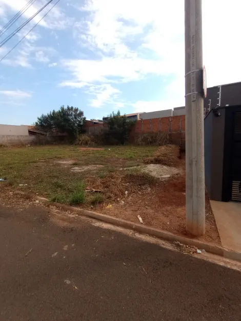 imagem 3 - Terreno - Padrão imagem 3 - Terreno - Padrão
