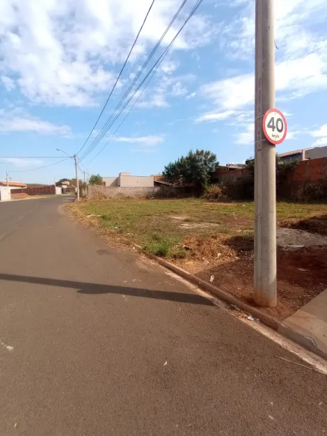 imagem 4 - Terreno - Padrão imagem 4 - Terreno - Padrão