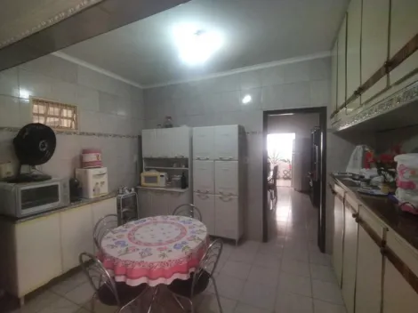 Alugar Casa / Padrão em São José do Rio Preto R$ 3.300,00 - Foto 10
