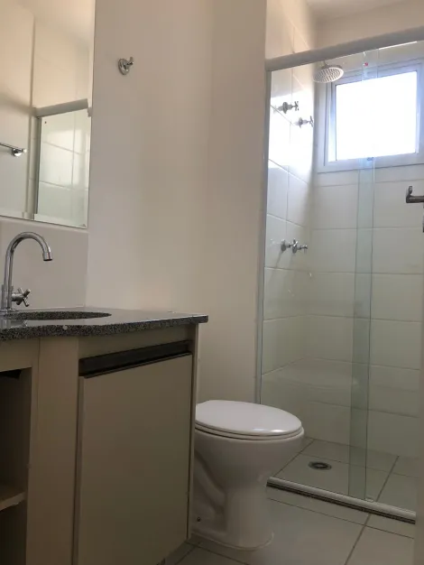 Alugar Apartamento / Padrão em São José do Rio Preto R$ 2.800,00 - Foto 10