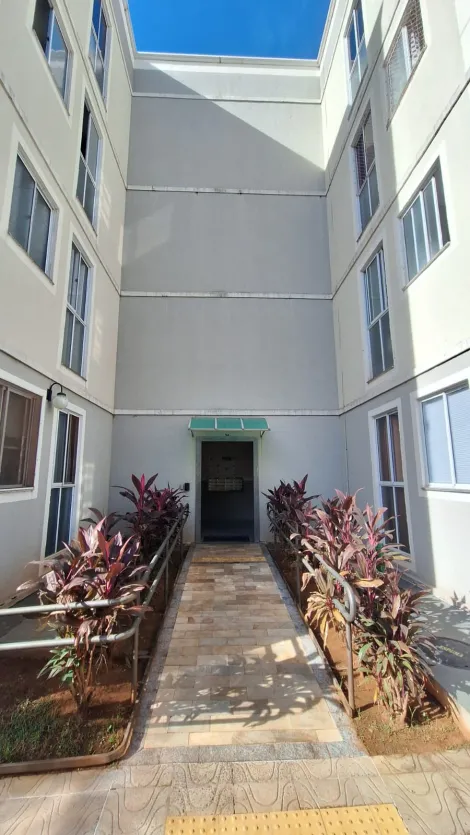 Apartamento / Padrão em São José do Rio Preto Alugar por R$400,00