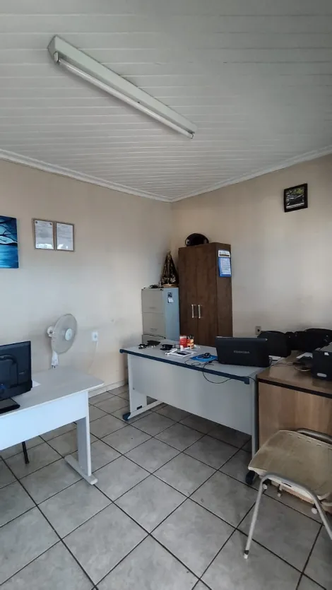 Comprar Terreno / Padrão em São José do Rio Preto R$ 980.000,00 - Foto 4