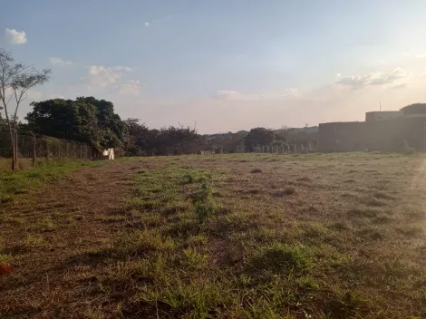 imagem 3 - Vicinal de Schmitt - Excelente área de 4.000,00 m² cercada alambrado, troca por imóvel região do bairro Soraia. imagem 3 - Vicinal de Schmitt - Excelente área de 4.000,00 m² cercada alambrado, troca por imóvel região do bairro Soraia.