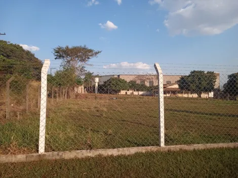 imagem 4 - Vicinal de Schmitt - Excelente área de 4.000,00 m² cercada alambrado, troca por imóvel região do bairro Soraia. imagem 4 - Vicinal de Schmitt - Excelente área de 4.000,00 m² cercada alambrado, troca por imóvel região do bairro Soraia.