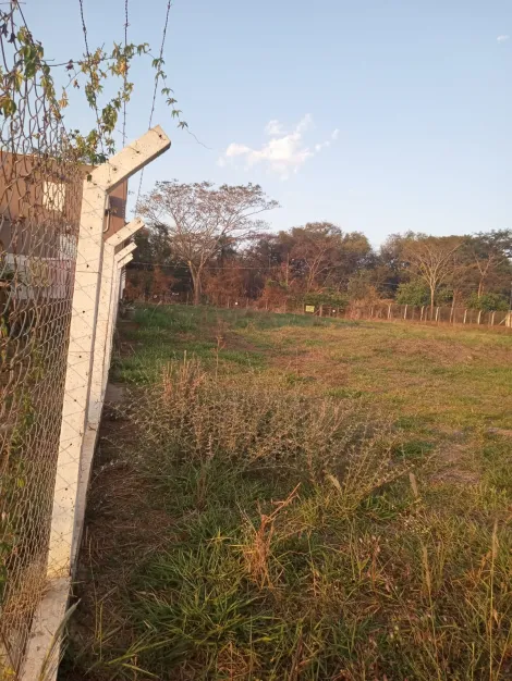 Comprar Terreno / Área em São José do Rio Preto apenas R$ 700.000,00 - Foto 4