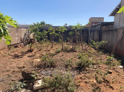 imagem 1 - Terreno 242m² - Parque das Amoras II imagem 1 - Terreno 242m² - Parque das Amoras II