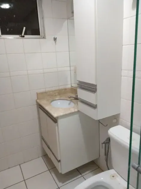 Alugar Apartamento / Padrão em São José do Rio Preto R$ 2.300,00 - Foto 7