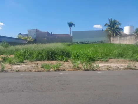 Terreno / Padrão em São José do Rio Preto , Comprar por R$560.000,00