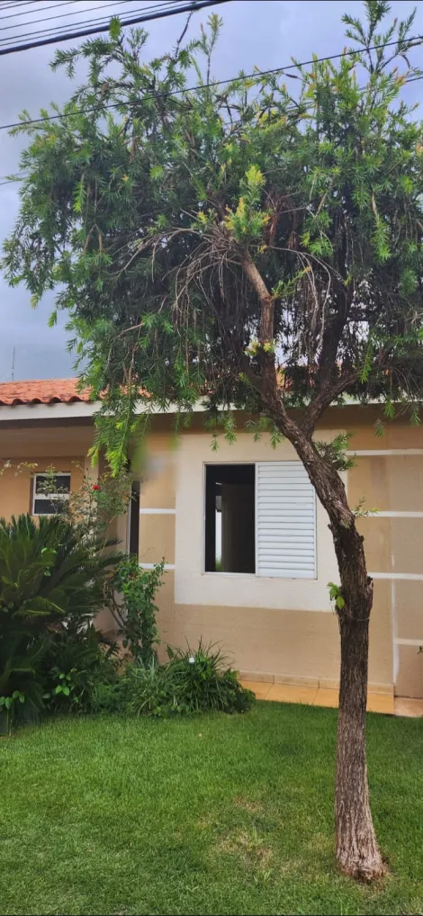 Alugar Casa / Condomínio em São José do Rio Preto. apenas R$ 189.000,00