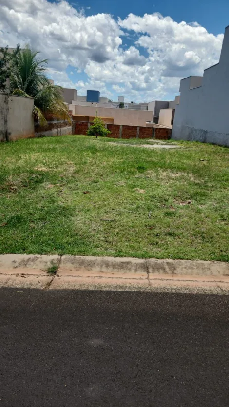 Alugar Terreno / Condomínio em São José do Rio Preto. apenas R$ 330.000,00
