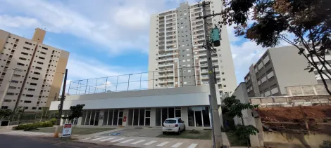 Comercial / Sala em São José do Rio Preto 