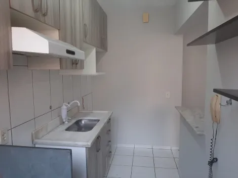 Alugar Apartamento / Padrão em São José do Rio Preto R$ 1.050,00 - Foto 3