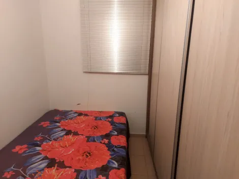 Alugar Apartamento / Padrão em São José do Rio Preto. apenas R$ 220.000,00