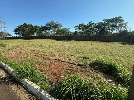 Comprar Terreno / Condomínio em Mirassol apenas R$ 484.500,00 - Foto 4
