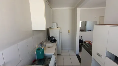 Alugar Apartamento / Padrão em São José do Rio Preto R$ 950,00 - Foto 6