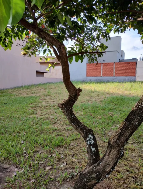 imagem 2 - Terreno Venda Condominio Residencial Maza imagem 2 - Terreno Venda Condominio Residencial Maza