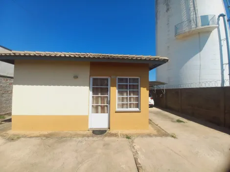 Casa / Padrão em São José do Rio Preto Alugar por R$800,00