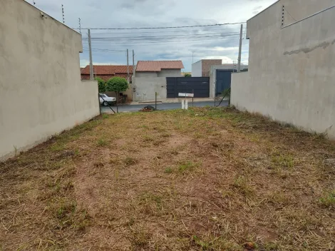 Alugar Terreno / Padrão em São José do Rio Preto. apenas R$ 130.000,00