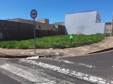 Terreno / Padrão em São José do Rio Preto 