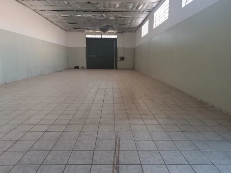 Alugar Comercial / Salão em São José do Rio Preto R$ 16.500,00 - Foto 5