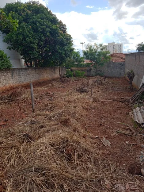 Terreno / Padrão em São José do Rio Preto 