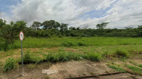 Terreno / Padrão em São José do Rio Preto 