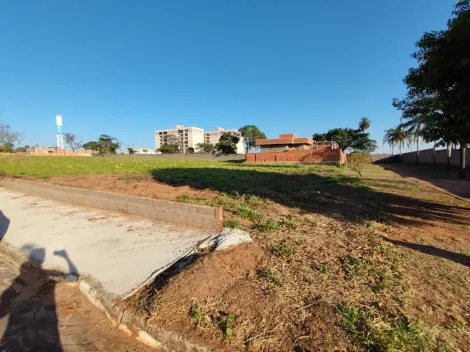 Comprar Terreno / Condomínio em Mirassol apenas R$ 165.000,00 - Foto 1