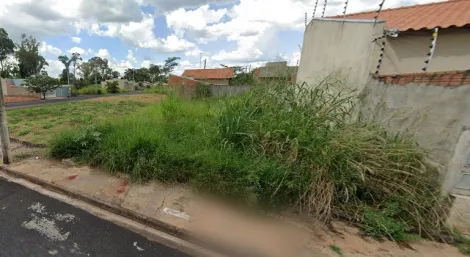 Terreno / Padrão em São José do Rio Preto 