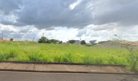 Terreno / Padrão em São José do Rio Preto 