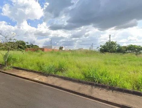 Terreno / Padrão em São José do Rio Preto 