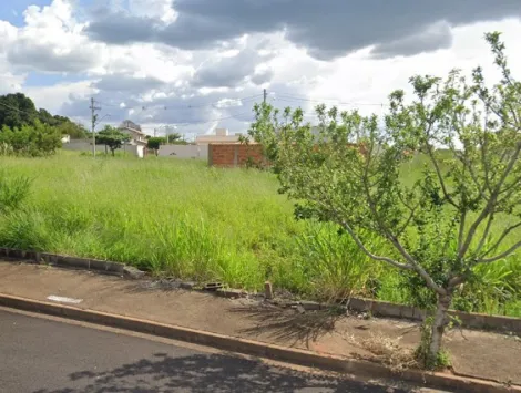 Terreno / Padrão em São José do Rio Preto 