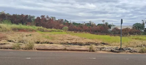Alugar Terreno / Padrão em São José do Rio Preto. apenas R$ 128.000,00