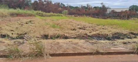 Comprar Terreno / Padrão em São José do Rio Preto R$ 134.400,00 - Foto 2