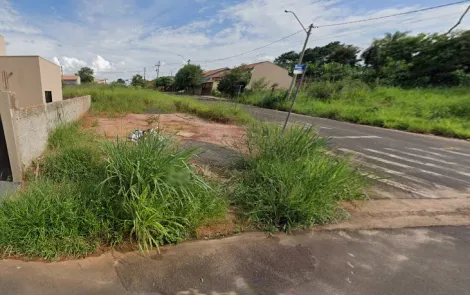 Terreno / Padrão em São José do Rio Preto 